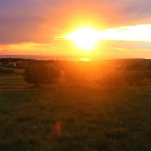 Horizont Kukci